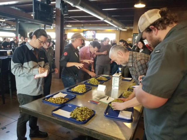 2017 judging