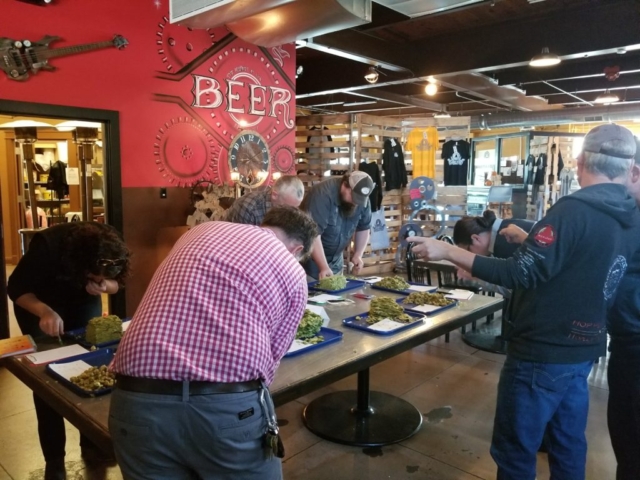 2017 judging