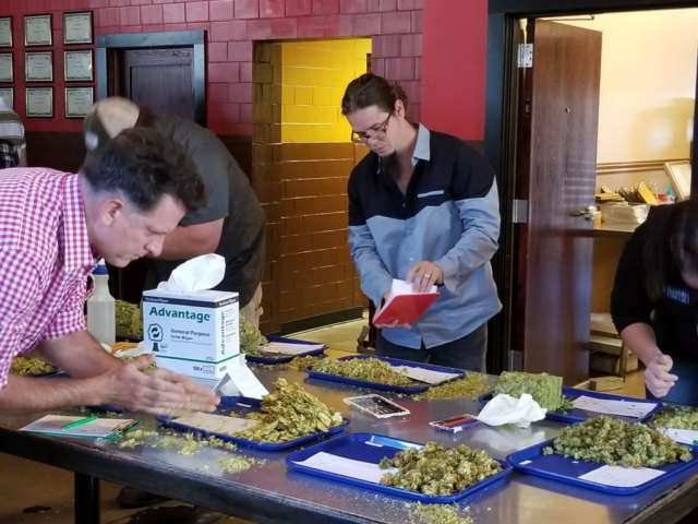 2017 judging