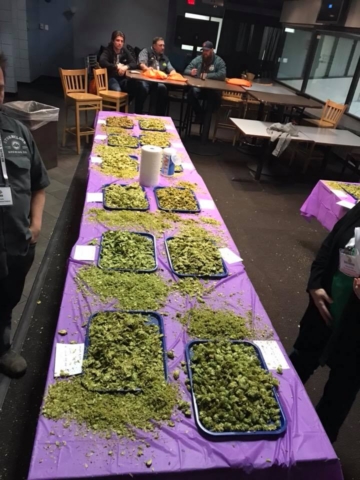 2018 judging