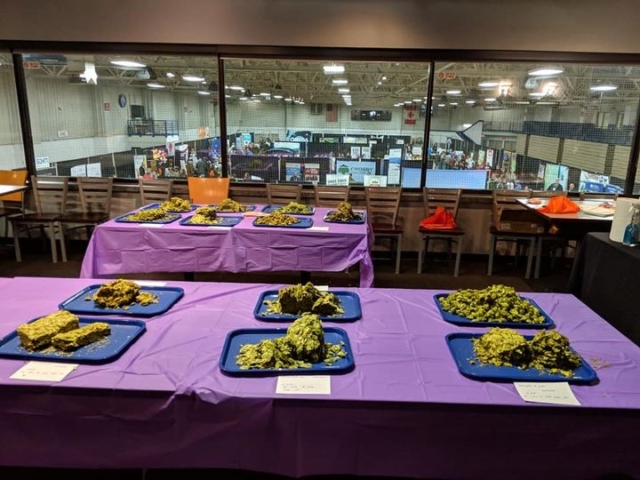 2018 Chinook Samples