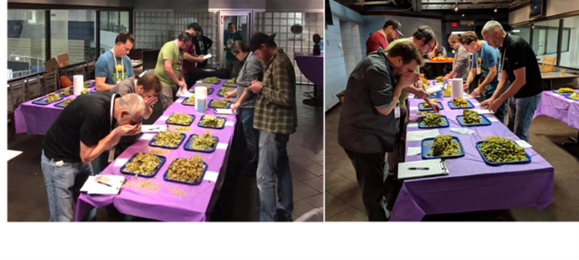 2018 judging