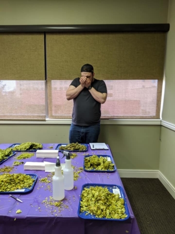 2019 judging