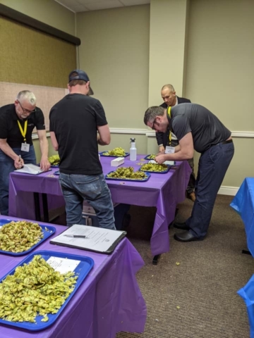 2019 judging