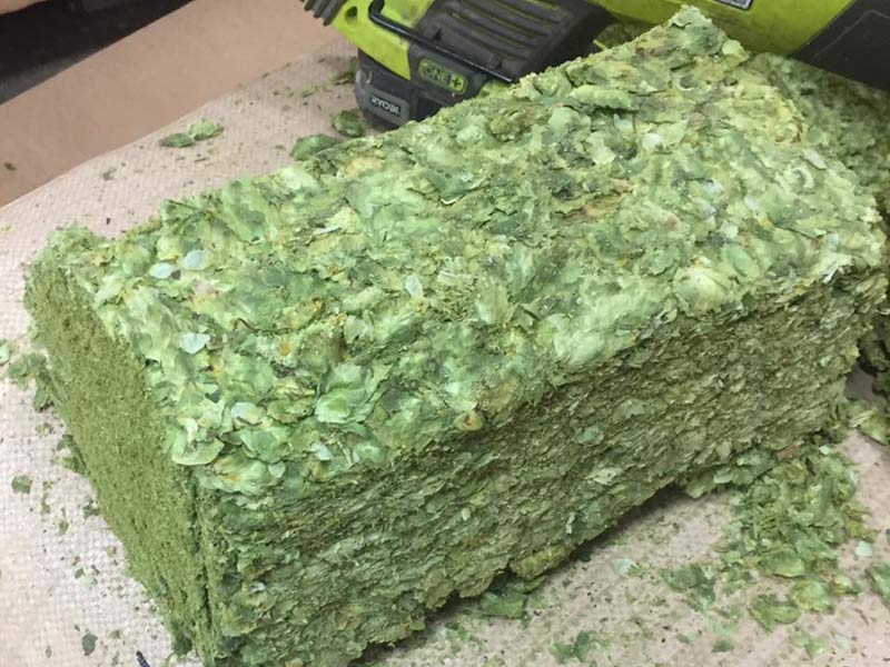 2017-chinook-brick 2017 chinook cup brick of hops