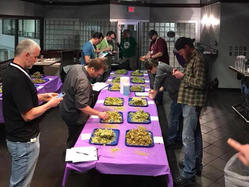 2018-chinook-judging 2018 chinook cup judging