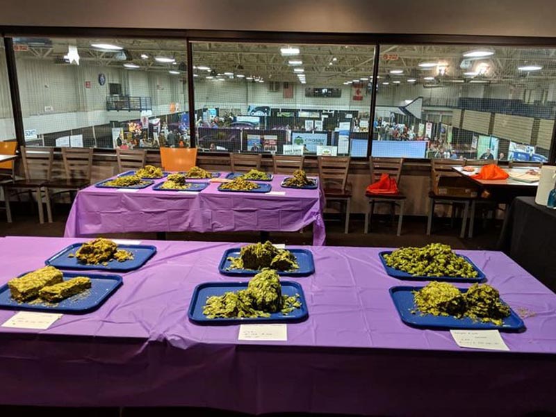2018-chinook-samples samples of hops at the 2018 chinook cup competition