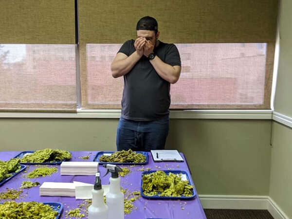 2019-chinook-aroma 2019 chinook cup judge sampling hop aroma