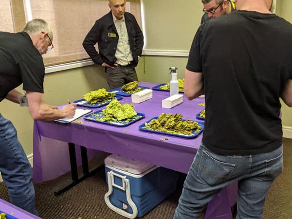 2019-chinook-judging 2019 chinook cup judges with varieties of michigan hops